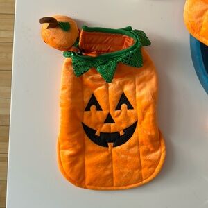 Dog pumpkin costume